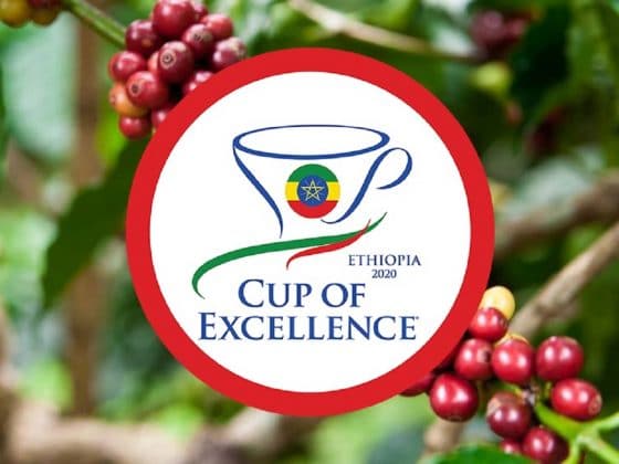 Cup of Excellence Ehtiopia