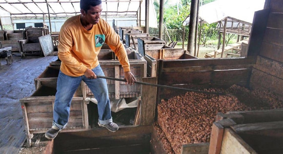 Филиппины - фермер какао