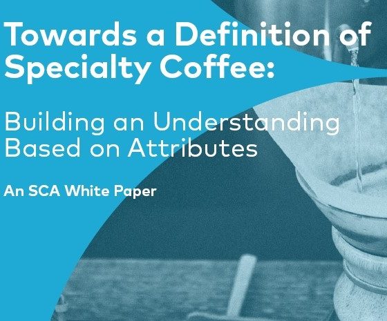 SCA White Paper