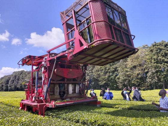 Чаесборочная машина в Кении