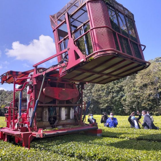 Чаесборочная машина в Кении