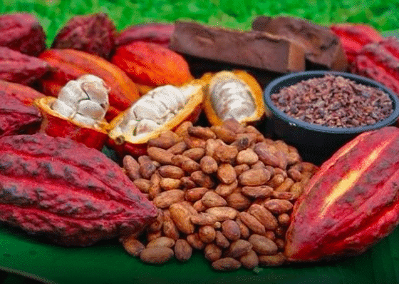 Какао-продукты