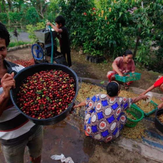Fair Trade Индонезия