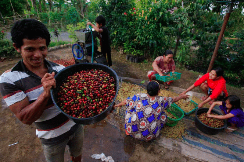 Fair Trade Индонезия