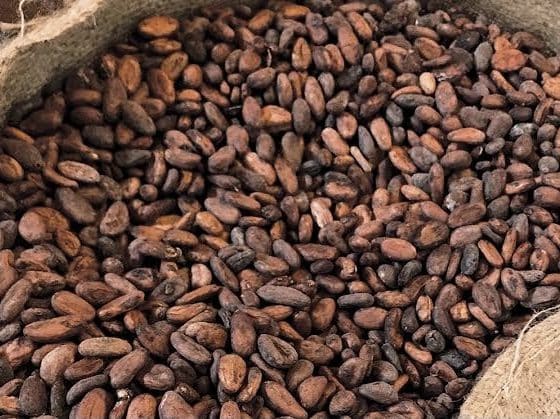 Какао-бобы в мешке