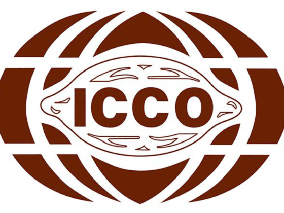 Лого ICCO
