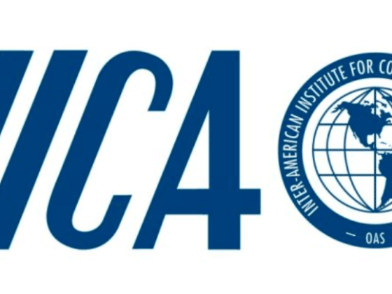 Лого IICA