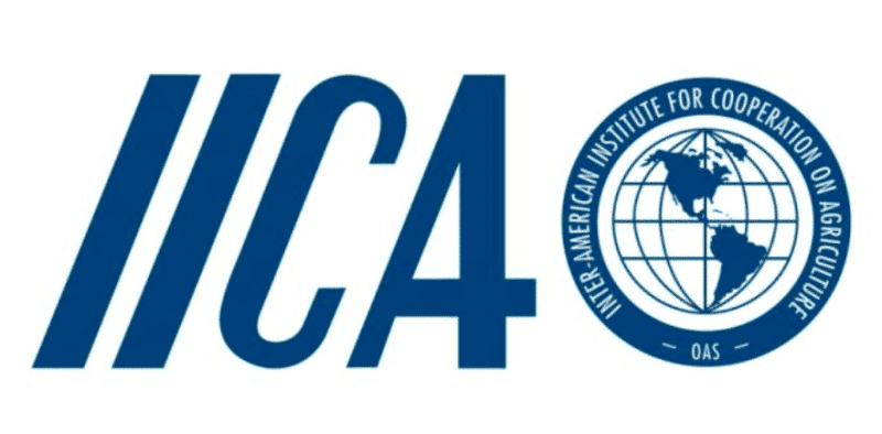 Лого IICA