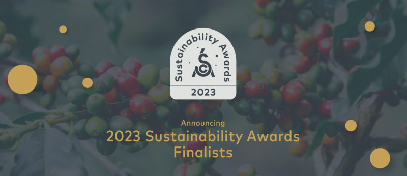 SCA Sustainability Awards