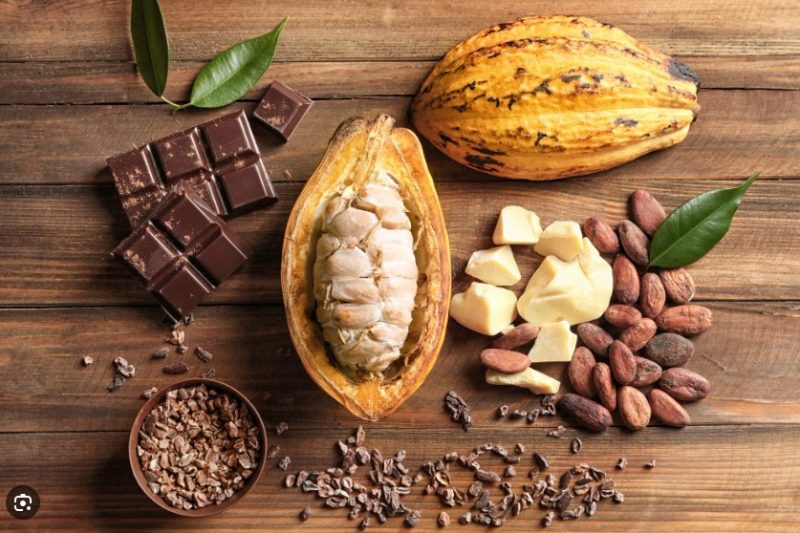 Продукция какао