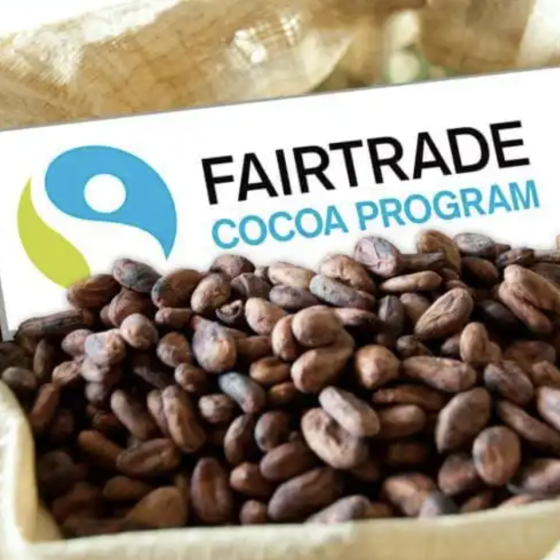 Детский труд на какао-фермах 1