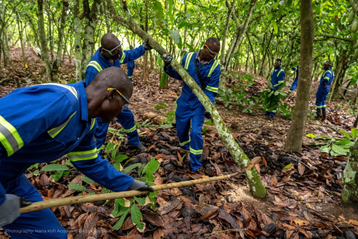 Cocoa-Farming-Cote-Ivoire