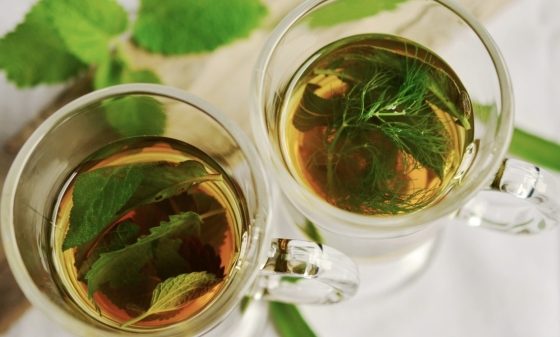 tea-glass-food-herb-produce-drink