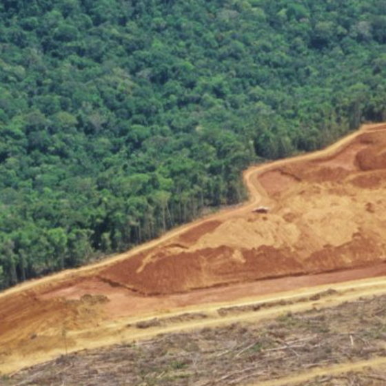 Вырубка лесов в Амазонке