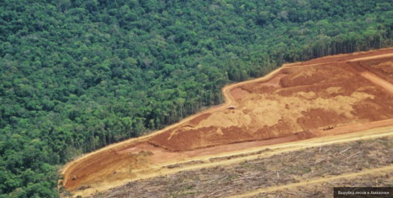 Вырубка лесов в Амазонке