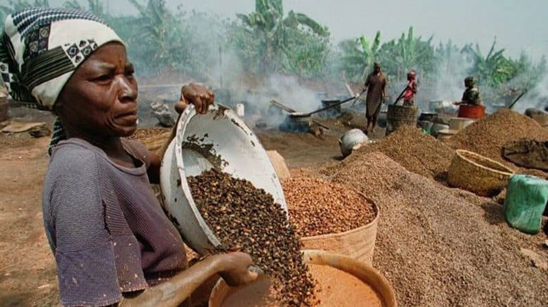 Какао в Либерии