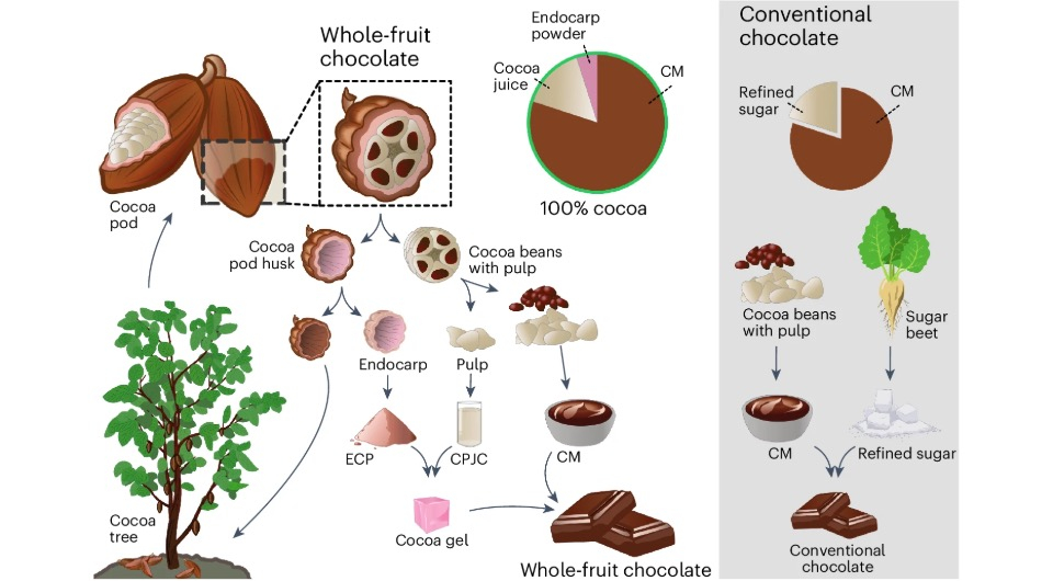 картинка-схема по какао