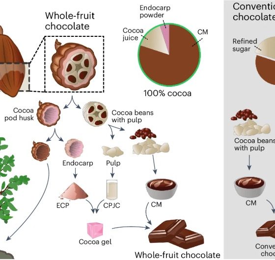 картинка-схема по какао
