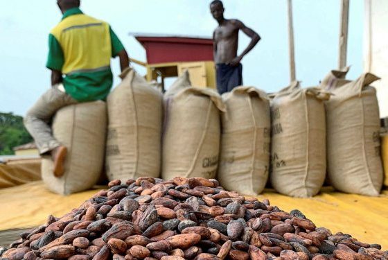 ghana-cocoa