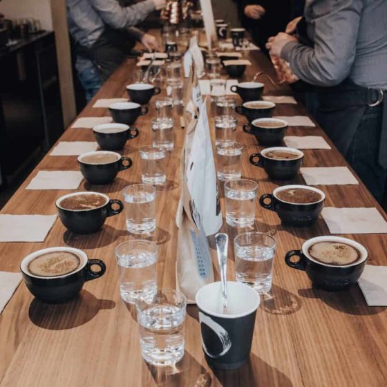 narcoffee-cupping-1