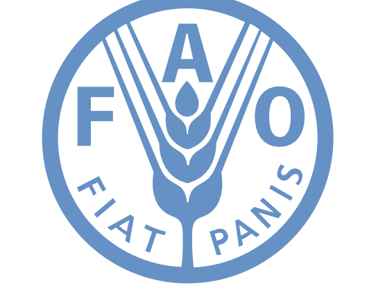 FAO logo