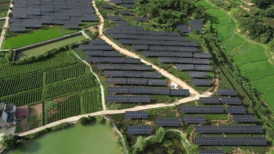 Solar energy and tea