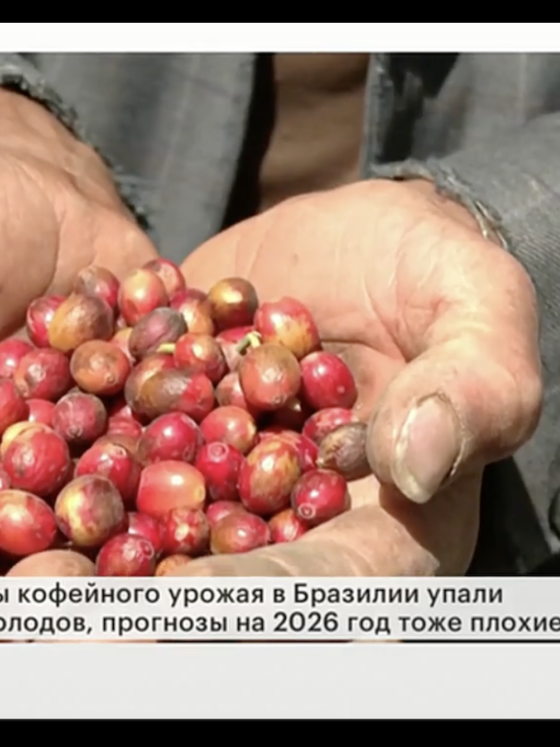 РБК о кофейном рынке 1